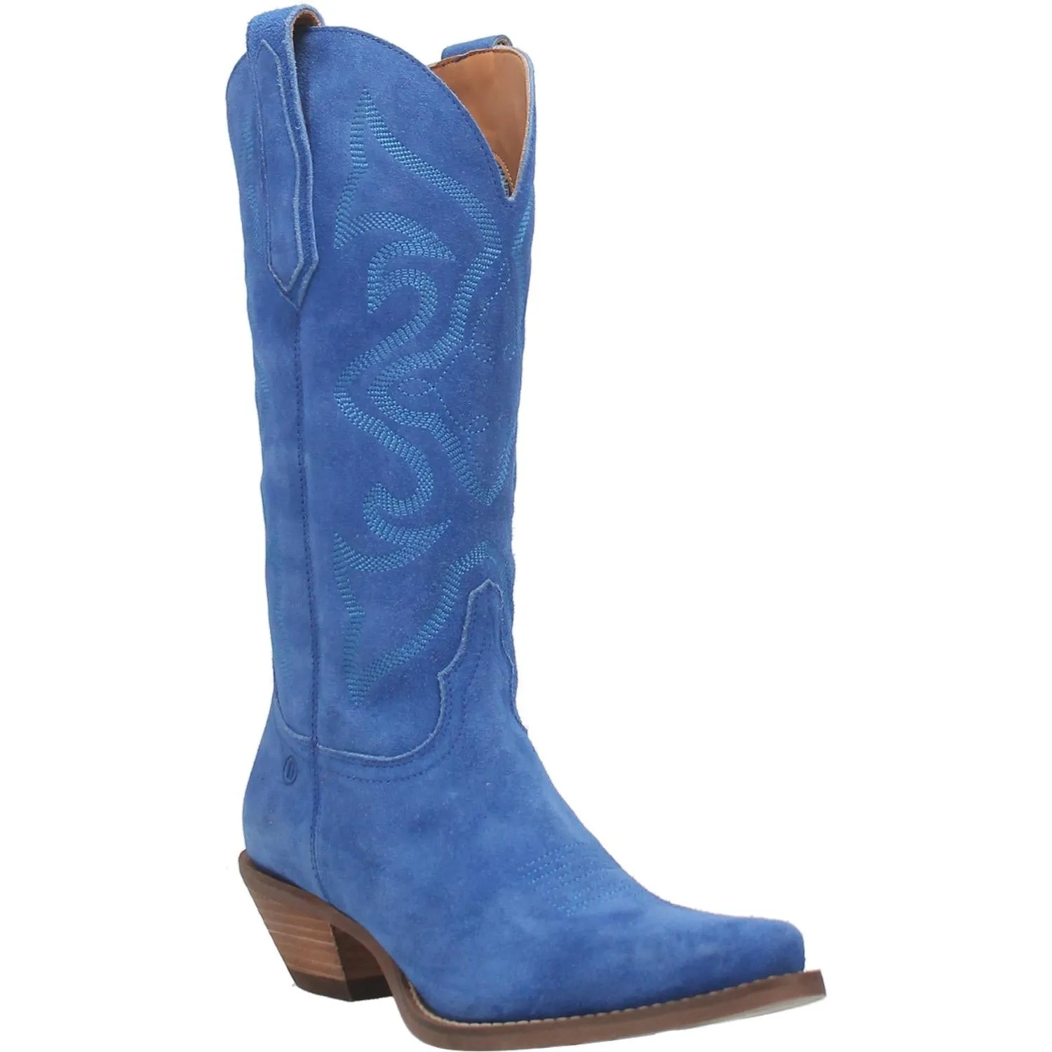 Homeward Bound Electric Cobalt Blue Suede Boots (DS)